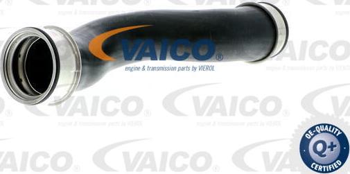 VAICO V10-3208 - Трубка нагнітається повітря autocars.com.ua