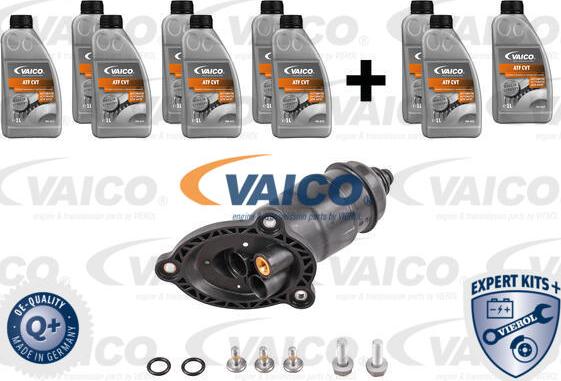 VAICO V10-3231-XXL - Комплект деталей, смена масла - автоматическая коробка передач autodnr.net