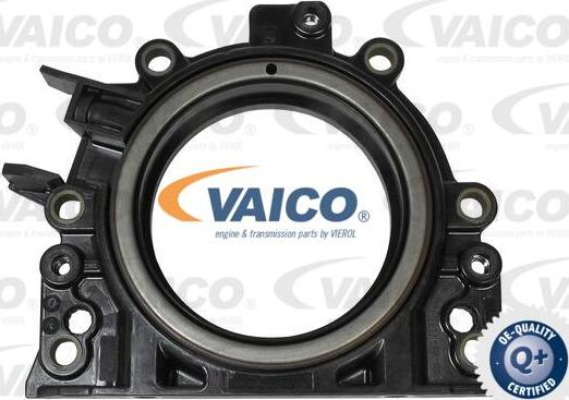 VAICO V10-3262 - Уплотняющее кольцо, коленчатый вал avtokuzovplus.com.ua
