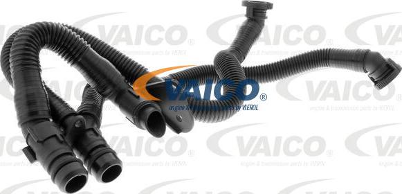 VAICO V10-3503 - Шланг, вентиляція картера autocars.com.ua