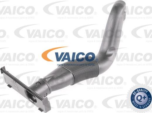 VAICO V103570 - Впускная труба, підведення повітря autocars.com.ua