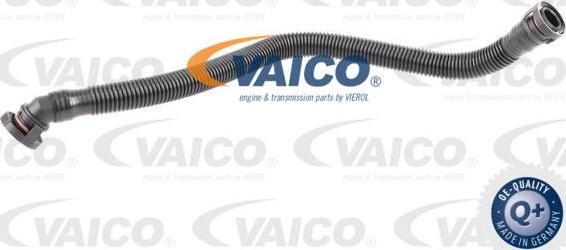VAICO V10-3596 - Шланг, система подачи воздуха avtokuzovplus.com.ua