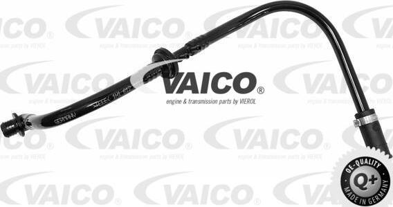 VAICO V10-3600 - Шланг розрідження, гальмівна система autocars.com.ua