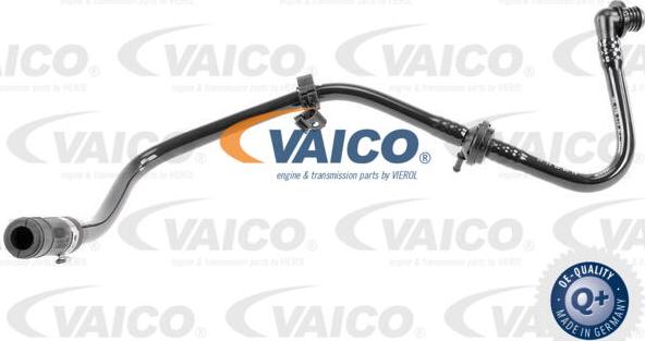 VAICO V103607 - Шланг разрежения, тормозная система avtokuzovplus.com.ua
