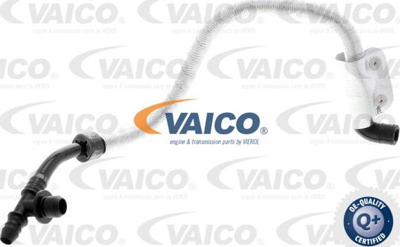 VAICO V10-3616 - Шланг розрідження, гальмівна система autocars.com.ua
