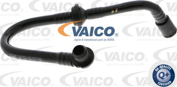 VAICO V103620 - Шланг разрежения, тормозная система avtokuzovplus.com.ua
