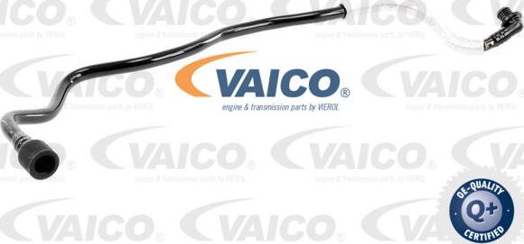 VAICO V10-3626 - Шланг розрідження, гальмівна система autocars.com.ua