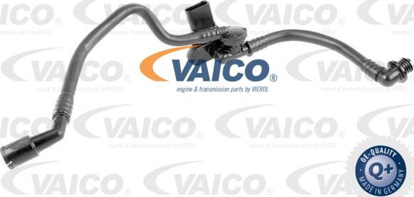 VAICO V10-3629 - Шланг розрідження, гальмівна система autocars.com.ua