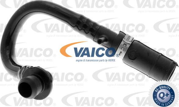 VAICO V10-3640 - Шланг розрідження, гальмівна система autocars.com.ua