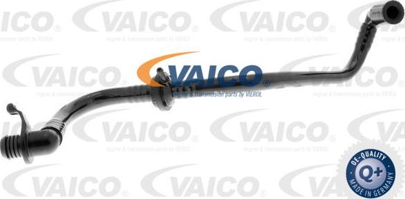 VAICO V10-3645 - Шланг розрідження, гальмівна система autocars.com.ua