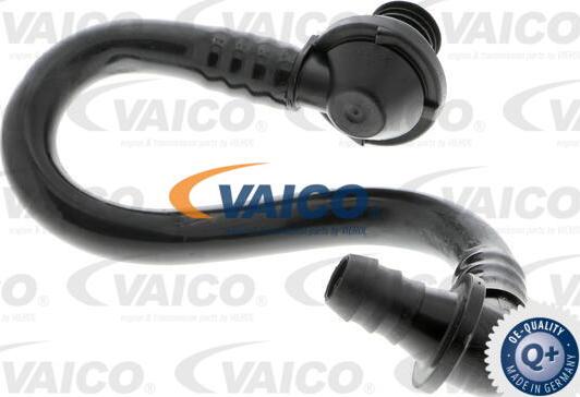 VAICO V10-3646 - Шланг розрідження, гальмівна система autocars.com.ua