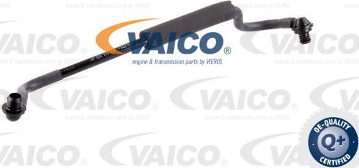 VAICO V10-3647 - Шланг розрідження, гальмівна система autocars.com.ua