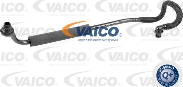 VAICO V103667 - Шланг розрідження, гальмівна система autocars.com.ua