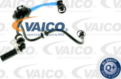 VAICO V10-3672 - Клапан вакуумного управления, рециркуляция ОГ avtokuzovplus.com.ua