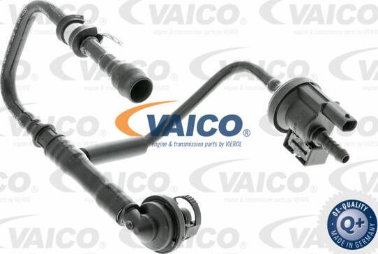 VAICO V10-3674 - Клапан вакуумного управления, рециркуляция ОГ autodnr.net