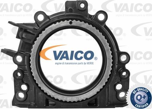 VAICO V10-3680 - Уплотняющее кольцо, коленчатый вал autodnr.net