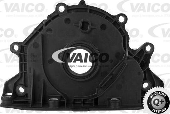 VAICO V10-3682 - Уплотняющее кольцо, коленчатый вал avtokuzovplus.com.ua