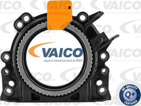 VAICO V10-3683 - Ущільнене кільце, колінчастий вал autocars.com.ua