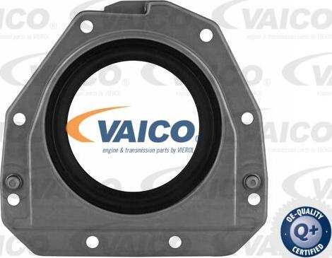 VAICO V10-3685 - Уплотняющее кольцо, коленчатый вал avtokuzovplus.com.ua