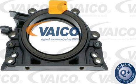 VAICO V10-3686 - Уплотняющее кольцо, коленчатый вал avtokuzovplus.com.ua