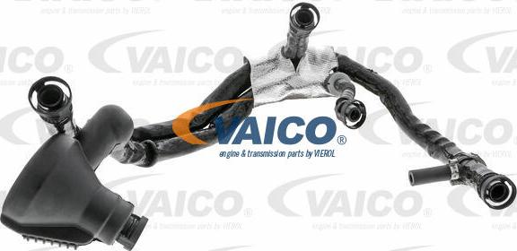 VAICO V10-3695 - Шланг, вентиляція картера autocars.com.ua