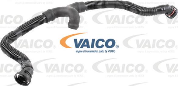 VAICO V10-3696 - Шланг, вентиляція картера autocars.com.ua