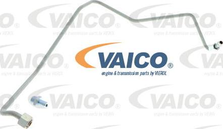 VAICO V10-3733 - Трубка, маслопровод компрессора avtokuzovplus.com.ua
