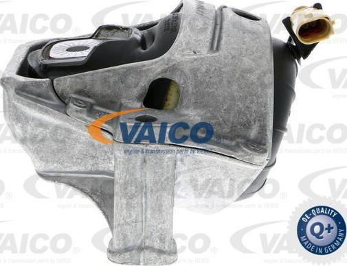 VAICO V10-3755 - Подушка, опора, подвеска двигателя avtokuzovplus.com.ua