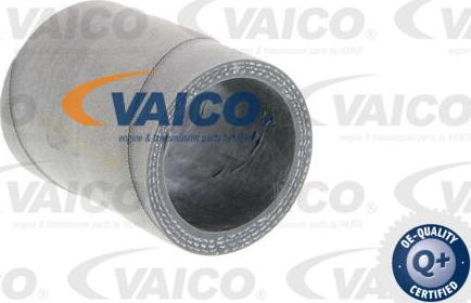 VAICO V10-3759 - Трубка, нагнетание воздуха avtokuzovplus.com.ua