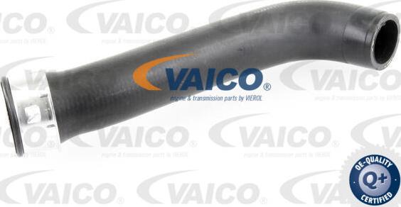 VAICO V10-3760 - Трубка, нагнетание воздуха avtokuzovplus.com.ua