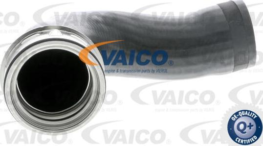 VAICO V10-3768 - Трубка нагнітається повітря autocars.com.ua