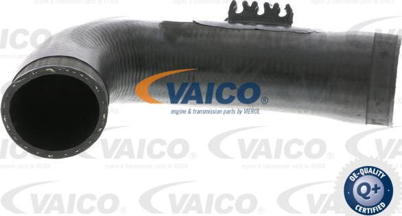 VAICO V10-3771 - Трубка, нагнетание воздуха autodnr.net