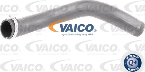 VAICO V10-3777 - Трубка, нагнетание воздуха autodnr.net