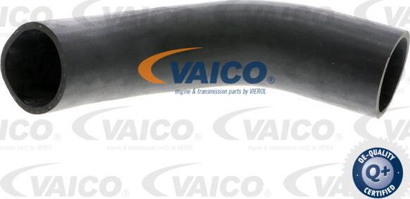 VAICO V10-3779 - Трубка, нагнетание воздуха autodnr.net