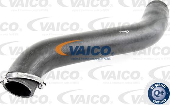 VAICO V10-3781 - Трубка, нагнетание воздуха autodnr.net