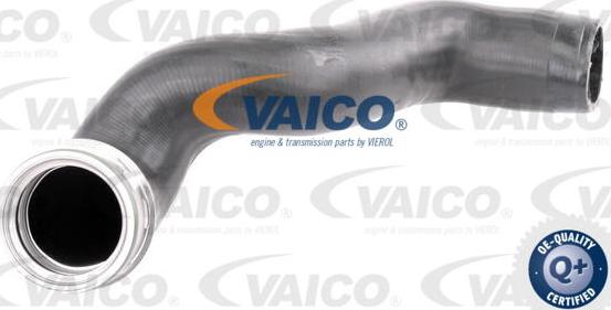 VAICO V10-3786 - Трубка, нагнетание воздуха autodnr.net