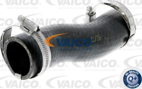 VAICO V10-3790 - Трубка нагнітається повітря autocars.com.ua