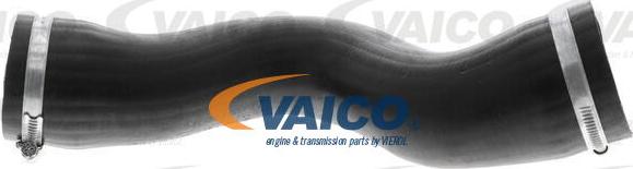 VAICO V10-3807 - Трубка нагнітається повітря autocars.com.ua