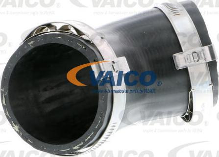 VAICO V10-3809 - Трубка нагнітається повітря autocars.com.ua