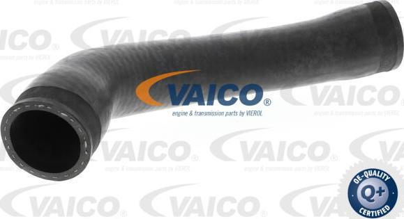 VAICO V10-3811 - Трубка нагнітається повітря autocars.com.ua