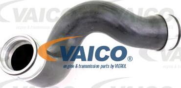 VAICO V10-3815 - Трубка нагнітається повітря autocars.com.ua