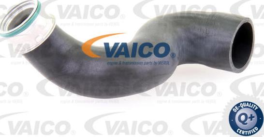 VAICO V10-3825 - Трубка нагнітається повітря autocars.com.ua