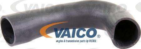VAICO V10-3836 - Трубка нагнітається повітря autocars.com.ua