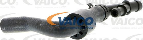 VAICO V10-3912 - Шланг радіатора autocars.com.ua