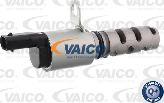 VAICO V10-3926 - Регулюючий клапан, виставлення розподільного вала autocars.com.ua