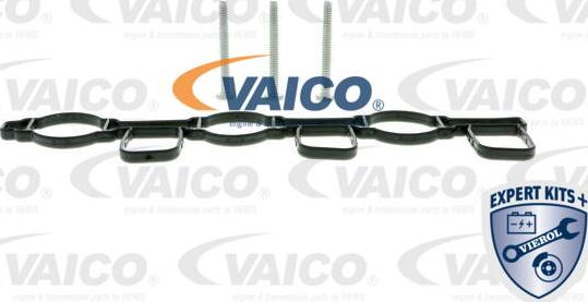 VAICO V10-3948 - Модуль впускний труби autocars.com.ua