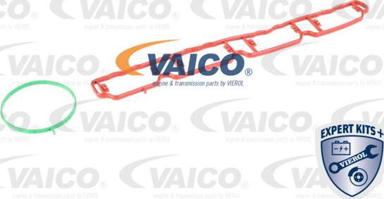 VAICO V10-3954 - Модуль впускний труби autocars.com.ua