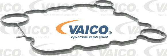 VAICO V10-4066 - Клапан, відведення повітря з картера autocars.com.ua