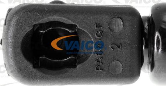 VAICO V10-4145 - Газовая пружина, упор avtokuzovplus.com.ua