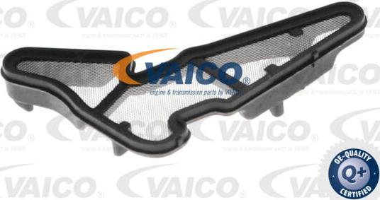 VAICO V10-4266 - Масляний насос autocars.com.ua